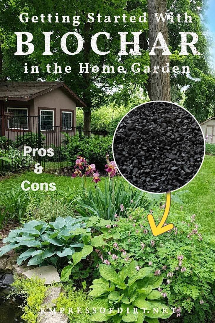 Biochar and a backyard flower garden.