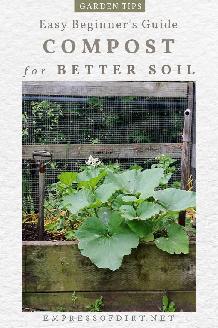 Composting 101: slow and fastmethods to enrich your garden soil Compost bin with pumpkin vine growing out the top.