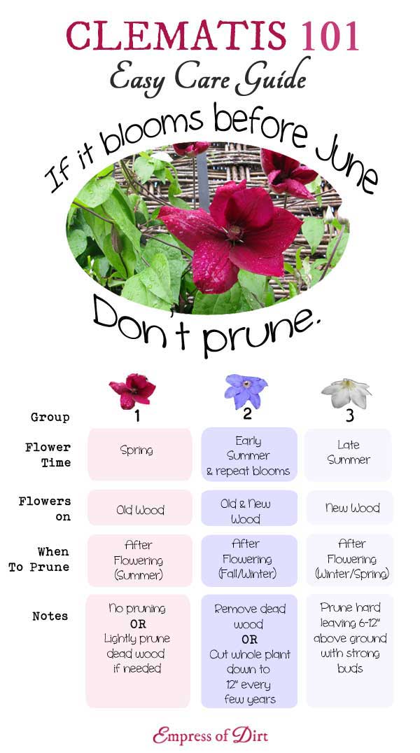 Chart with clematis growing tips. 