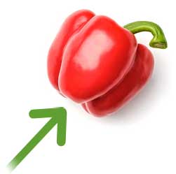 Diagram of red bell pepper