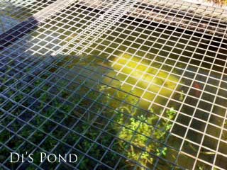 Before and after photos of the Empress of Dirt quilt batting clear water method.