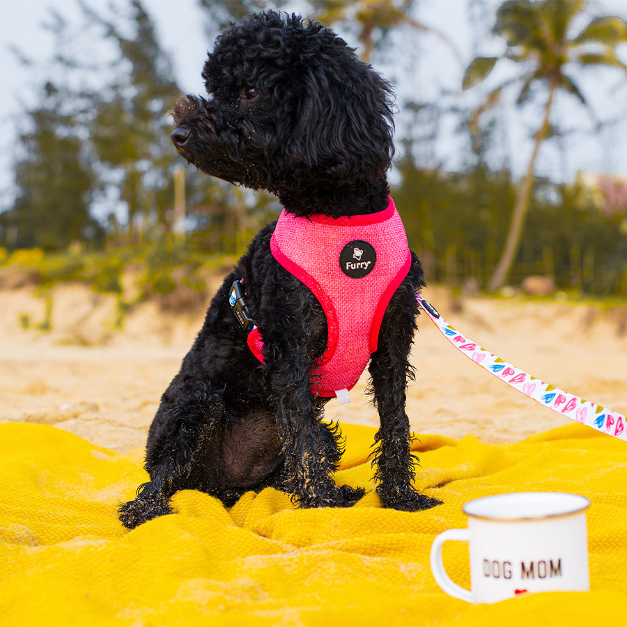 Love Machine Reversible Harness