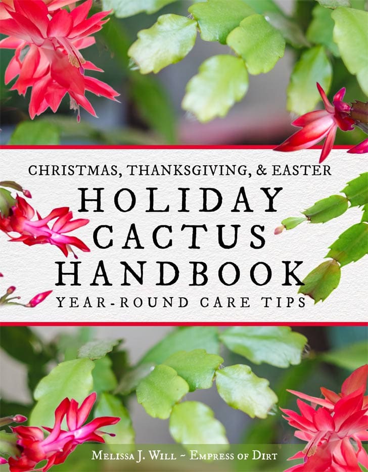 Holiday Cactus Handbook book cover.