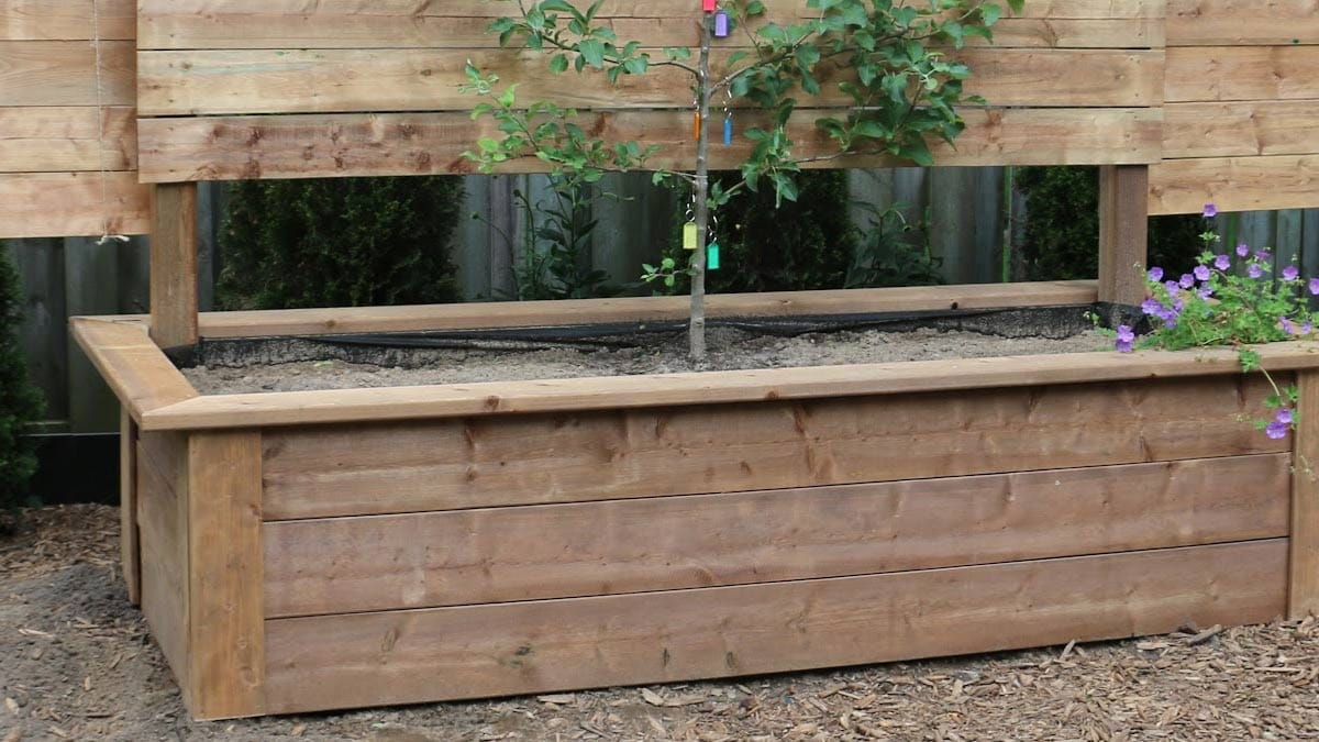 Wooden raised garden bed.