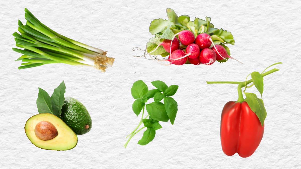 Fruits and vegetables you can regrow with scraps.