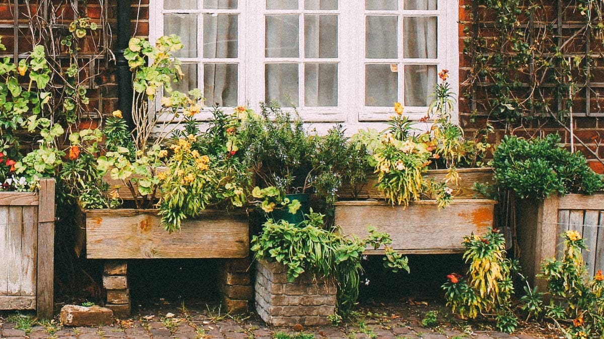 Flower boxes in front of a Victorian home.