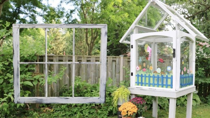 Small greenhouse made from old house windows.