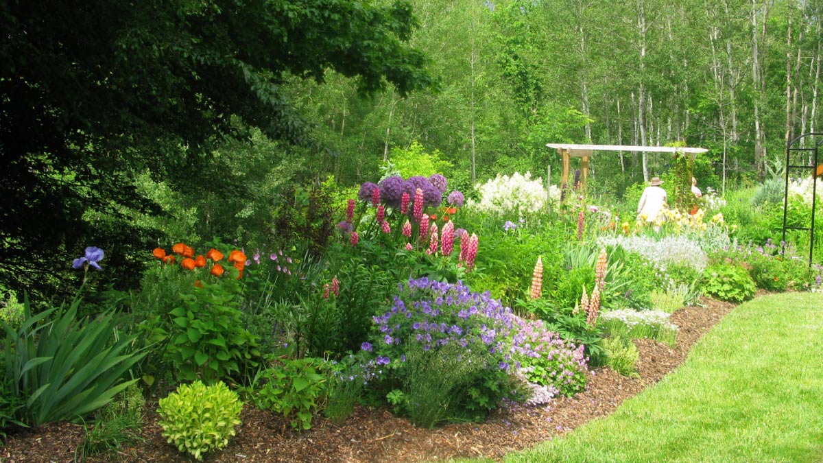 Flower garden with deep shade, part sun, and sunny areas.