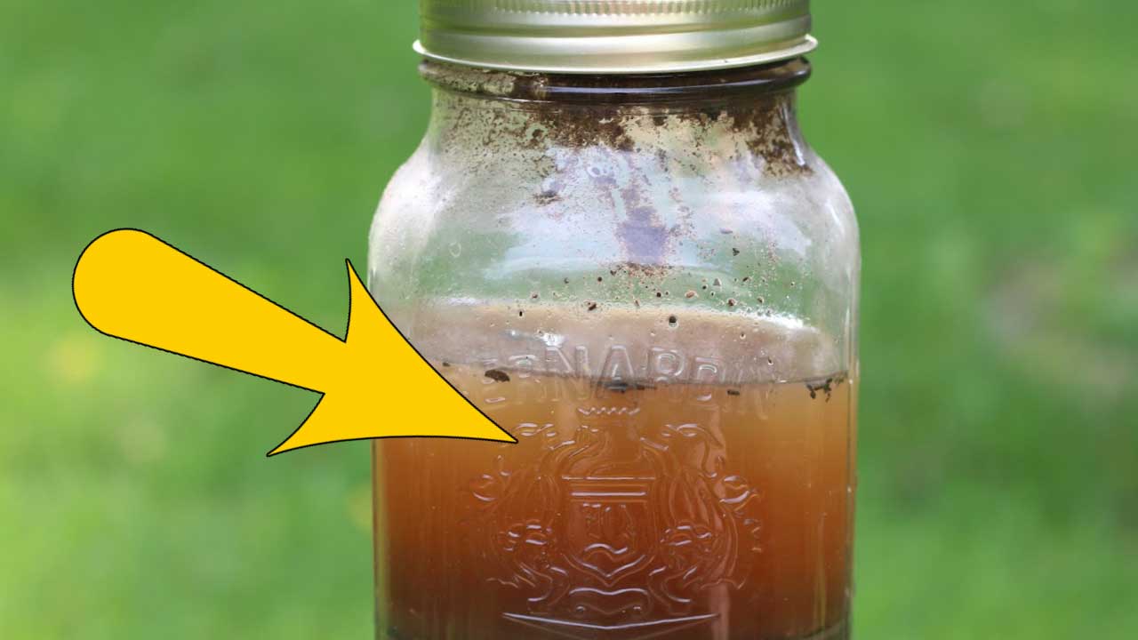 Jar with water and garden soil.