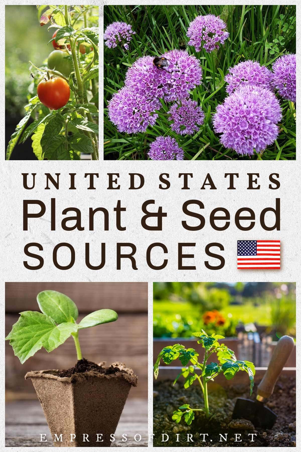 United States Plant and Seed Catalog Sources.