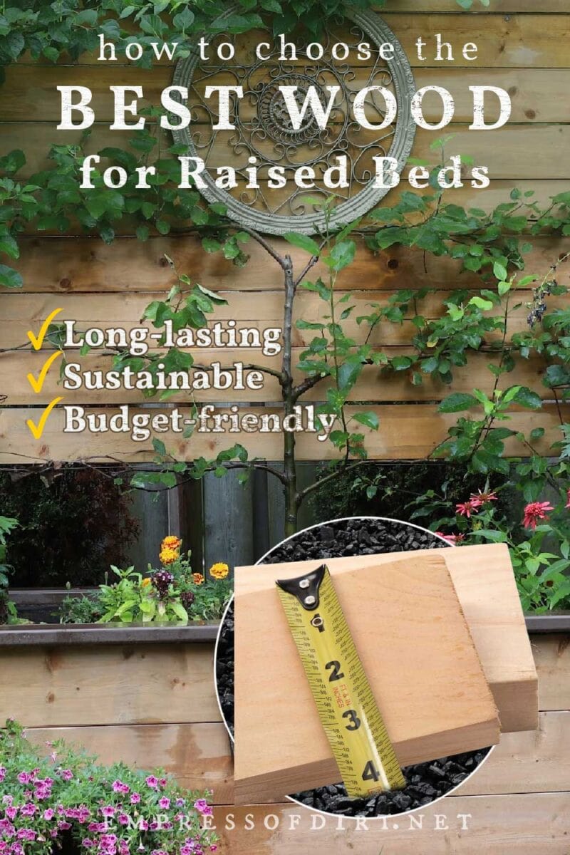 Examples of budget-friendly, local wood used for building a raised garden bed.