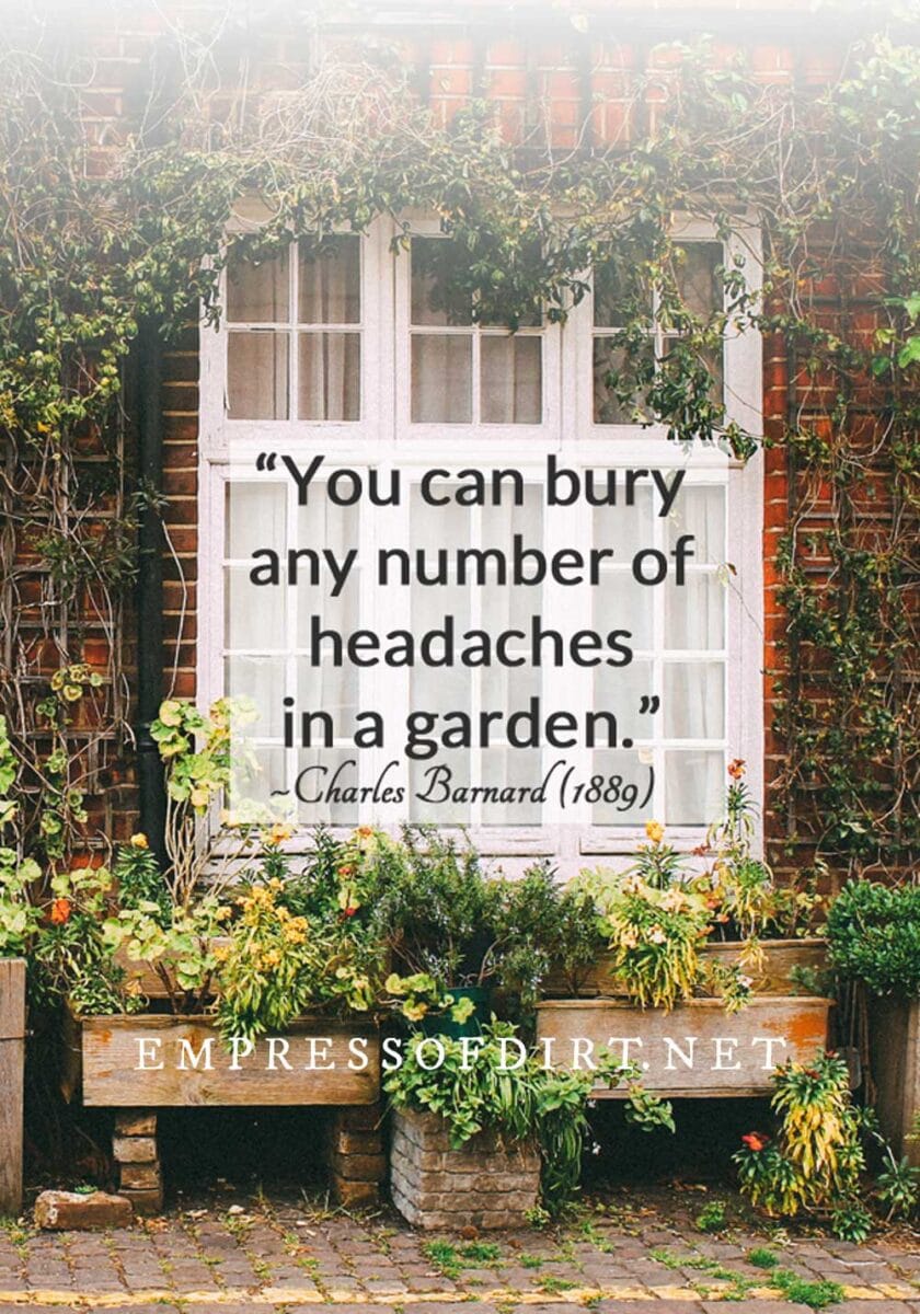 My Handkerchief Garden by Charles Barnard was first published in 1889, providing practical information and encouragement for creating a kitchen garden on a small urban lotโjust like we do today. Garden quote about burying headaches in the garden.