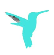 Rivoli's hummingbird map legend.