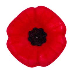Red poppy.