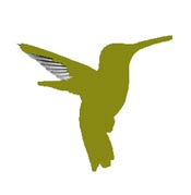 Unknown/other hummingbird map legend.